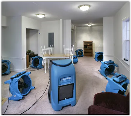 Water Mitigation Services in Indiantown, FL
