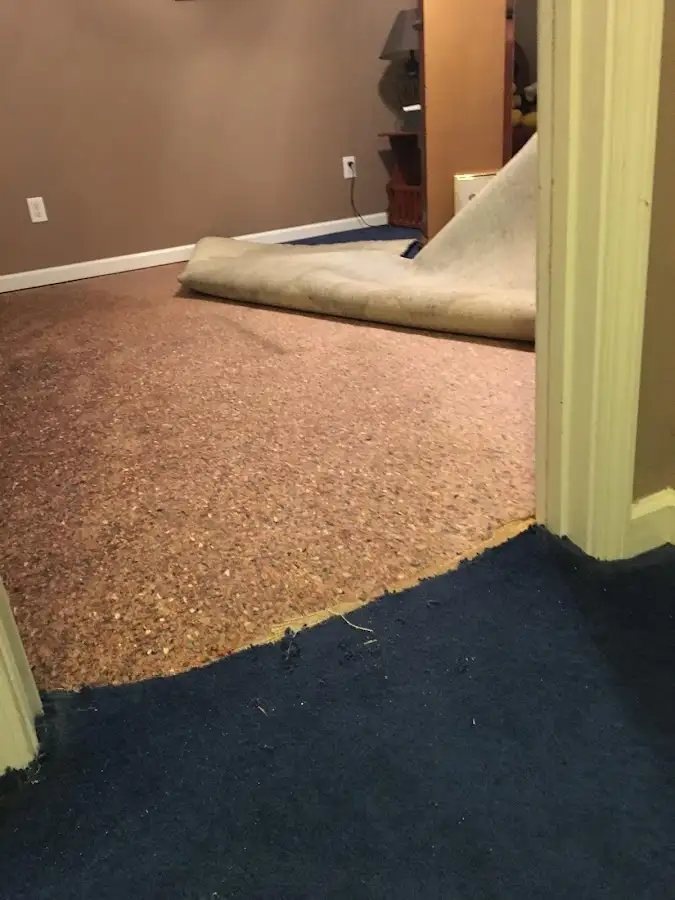 Carpet pad removal revealing water damage during Water Mitigation Services in Indiantown