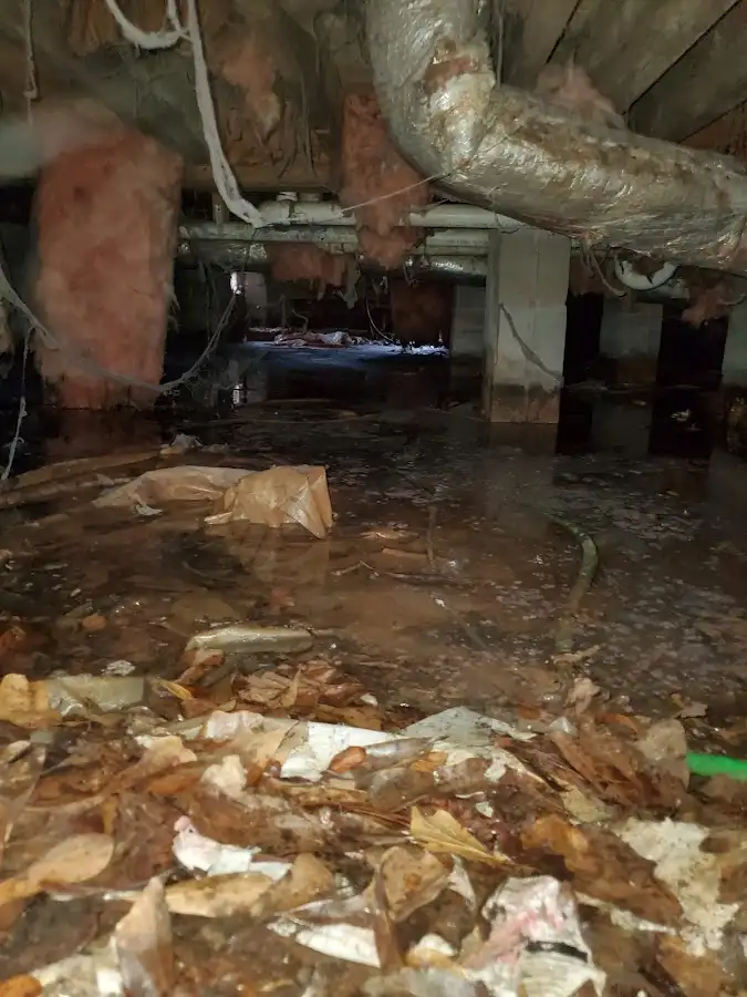 Crawl space flood assessment for Leak Detection & Repair in Indiantown